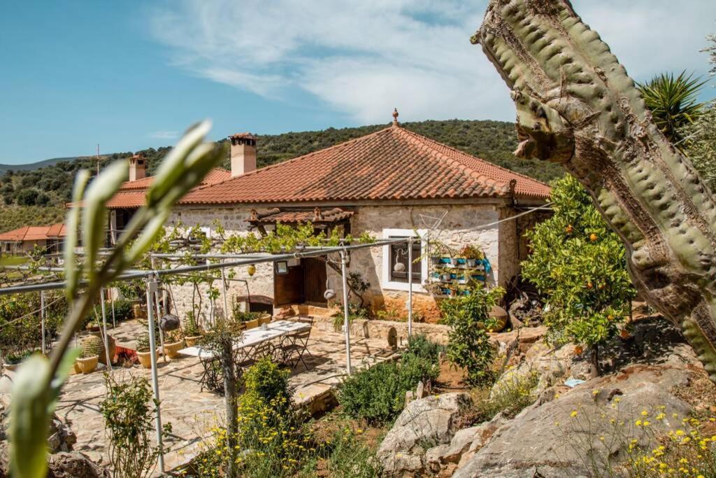 Vila Pontinos Old House Míloi Exteriér fotografie