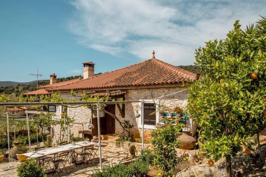 Vila Pontinos Old House Míloi Exteriér fotografie